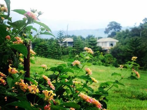 Hotel Khaoyai Nature Retreat