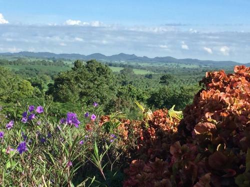 Hotel Khaoyai Nature Retreat