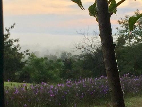 Hotel Khaoyai Nature Retreat