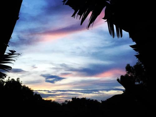 Hotel Khaoyai Nature Retreat