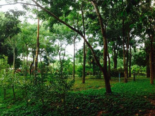 Hotel Khaoyai Nature Retreat