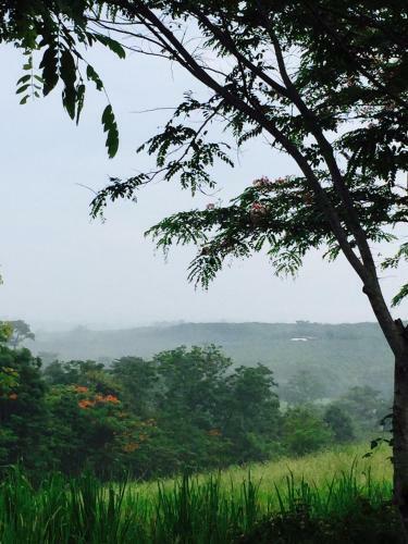 Hotel Khaoyai Nature Retreat