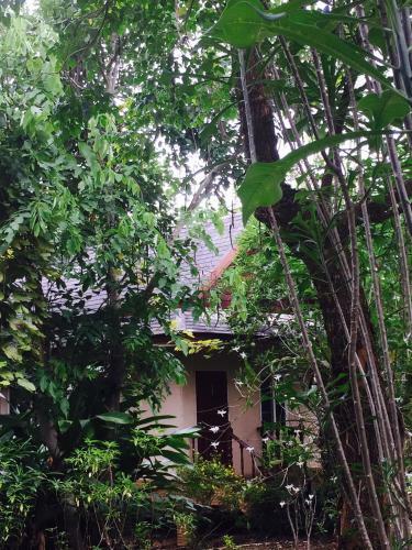 Hotel Khaoyai Nature Retreat