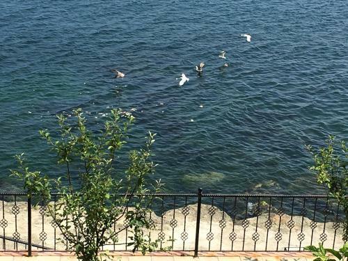 Apartamento Trabzon Secret Paradise