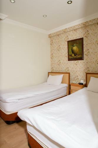 Hotel Gumus Otel