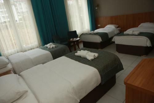 Hotel Fatsa Safi?r Otel