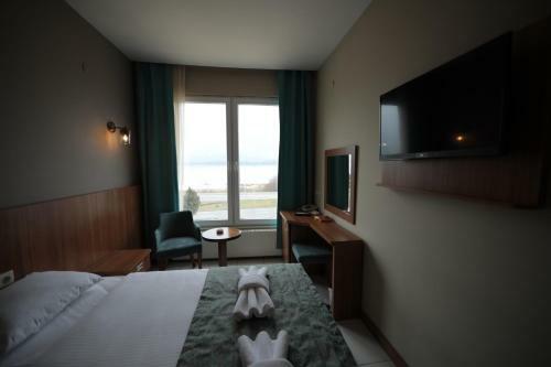 Hotel Fatsa Safi?r Otel