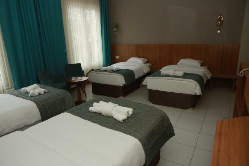 Hotel Fatsa Safi?r Otel