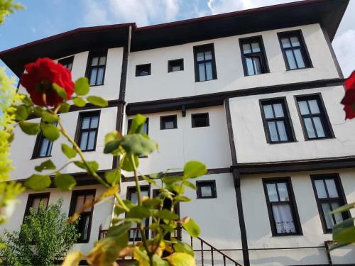 Hotel Kad?o?lu Kona??