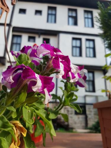 Hotel Kad?o?lu Kona??