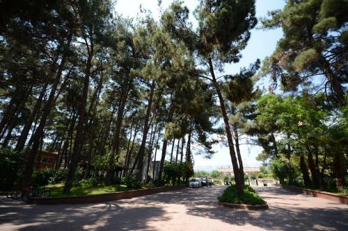 Arsan Hotel