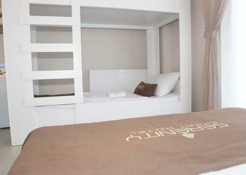 Hotel Seren?ty Apart Otel