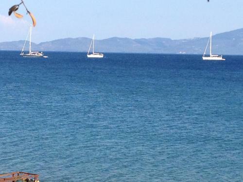Assos Nazan Motel Restoran Beach