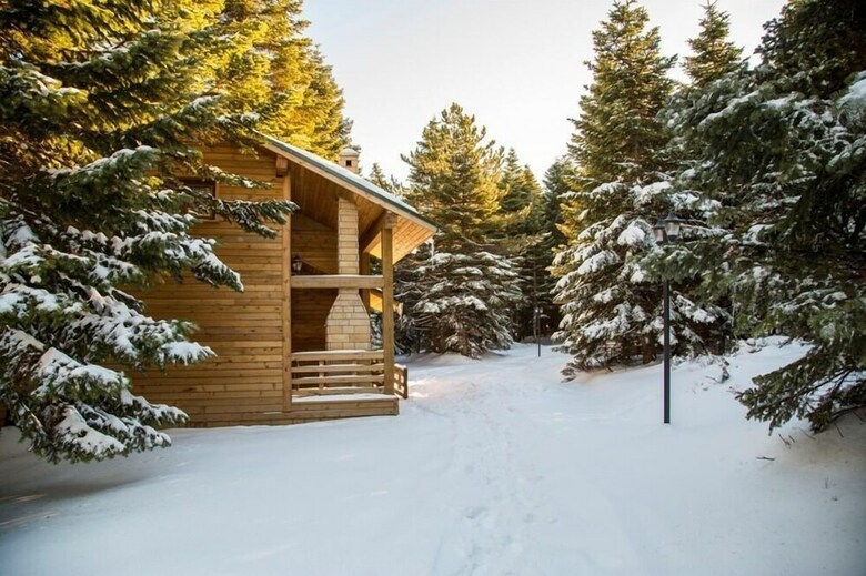 Lodge Uludag Orman Koskleri