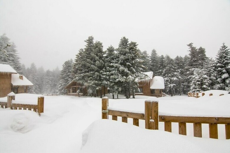 Lodge Uludag Orman Koskleri