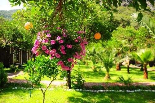 Agroturismo Likya Evleri Olympos