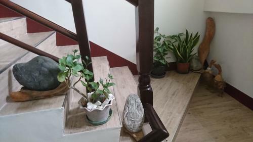 Ho Hai Yan Homestay