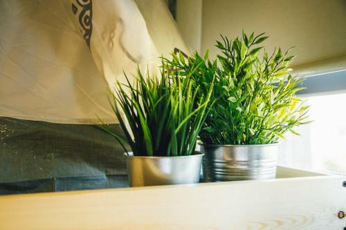 Albergue Yilan Inspiration