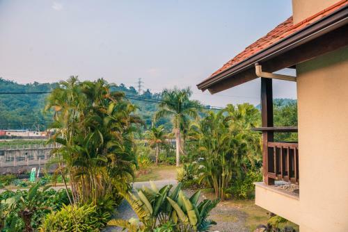 Bed & Breakfast Palm Villa Guesthouse