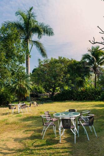Bed & Breakfast Palm Villa Guesthouse