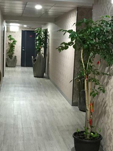 My House Hotel