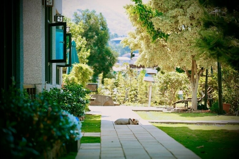 Hotel Five Mountains And Three Water B&B