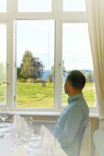 Hotel Jel�y Radio