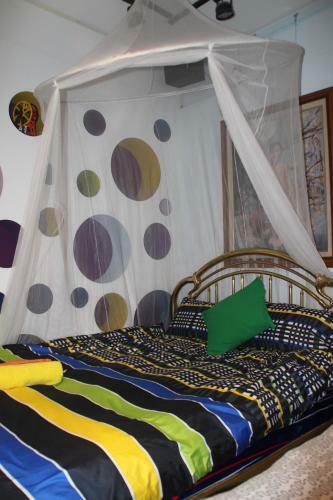 Hostal Vincent Willem Van Gogh Hall