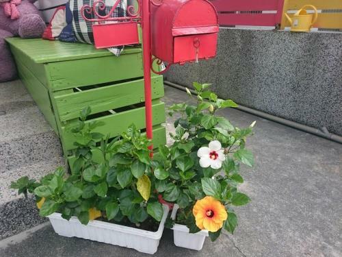 Albergue 70 Garden House