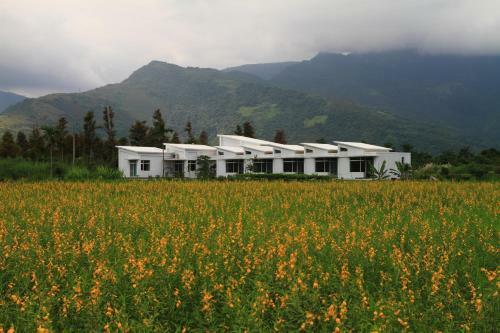 Bed & Breakfast Meet Canaan