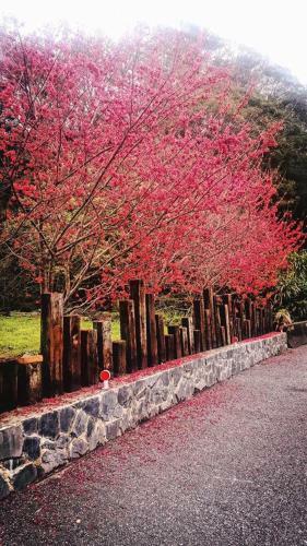 Taroko Formosa Homestay