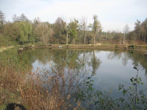 Lodge Fishing Park