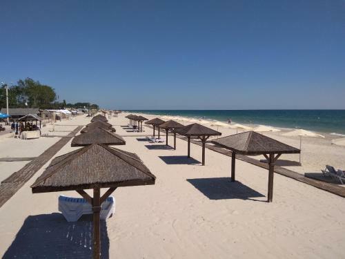 Hotel Oasis Beach Club