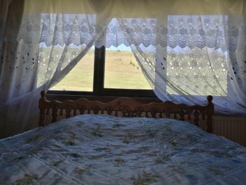 Lodge Gutsulska Oselya