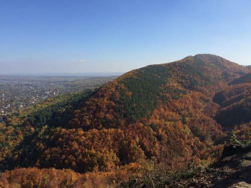 Hotel Sadyba Zatyshna