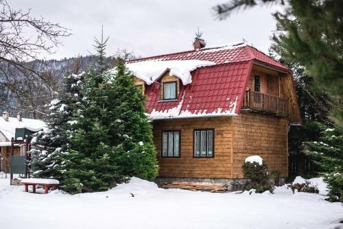 Lodge House Girska Rika