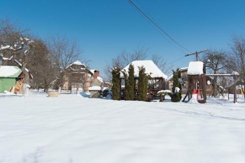 Lodge House Girska Rika