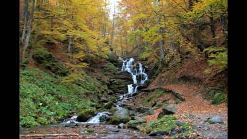 Hostal Sadyba Domashniy Zatyshok