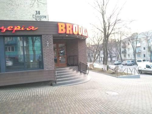Apartment On Knyahyni Ol'hy Street
