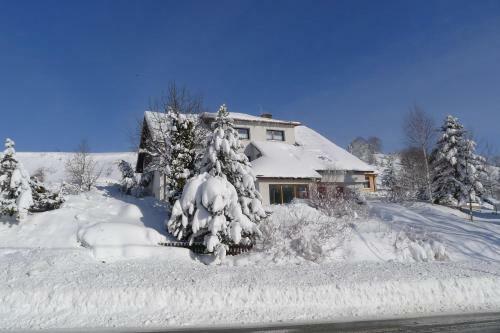 Hostal Penzion U Hanky