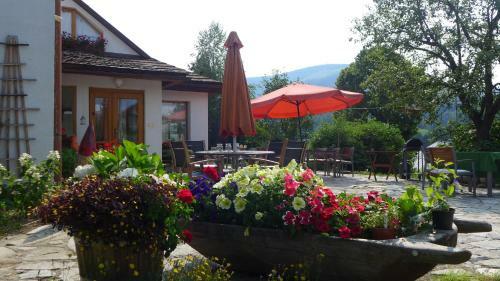 Hostal Penzion U Hanky