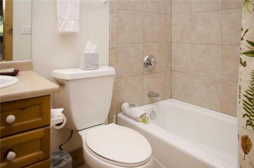 Saddle Creek Sc765