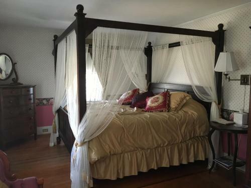 Bed & Breakfast Mountain View Green Retreat