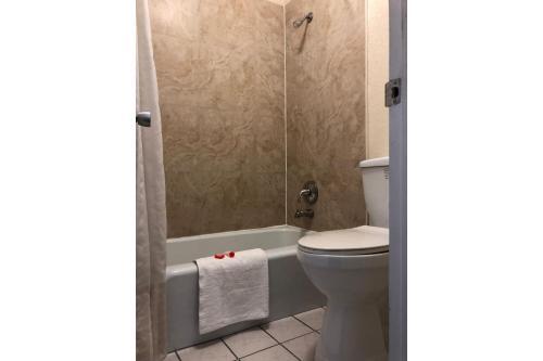 Motel Hotel Bayonet Point - North Port Richey