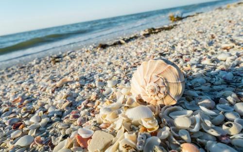 Hotel Sanibel Island Beach Resort
