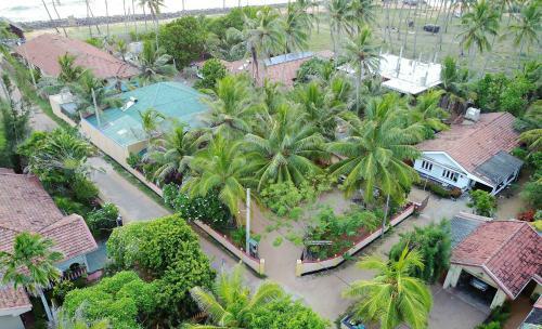 Hostal Rico Shadow Guest House & Restaurant