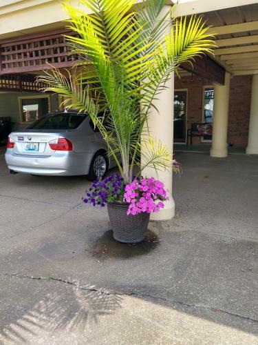 Motel Southern Comfort Suites