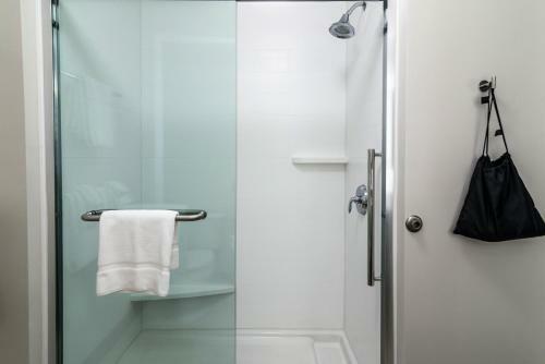 Hotel Holiday Inn Express & Suites - Allen Park