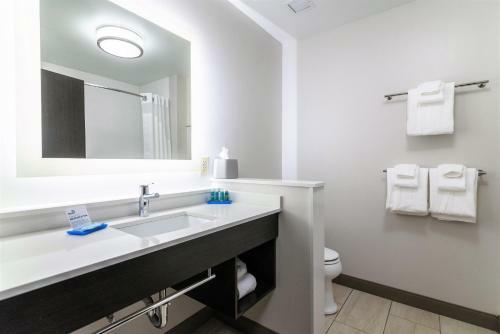 Hotel Holiday Inn Express & Suites - Allen Park
