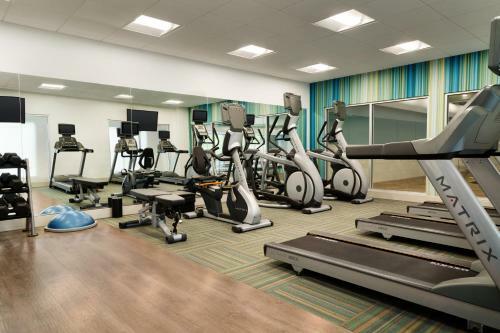 Hotel Holiday Inn Express & Suites - Allen Park